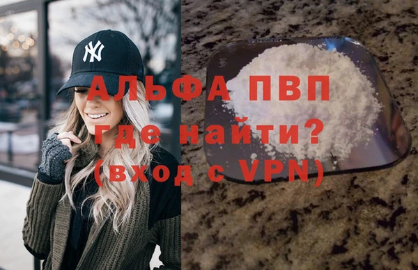 крисы Баксан