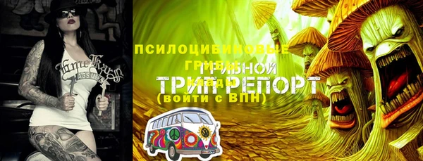 индика Пересвет