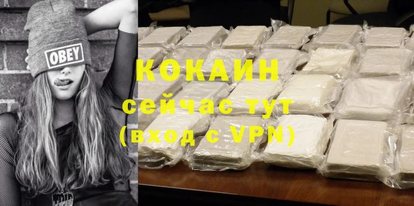 крисы Баксан
