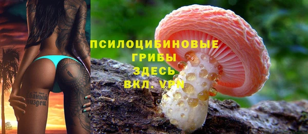 мдпв Беломорск