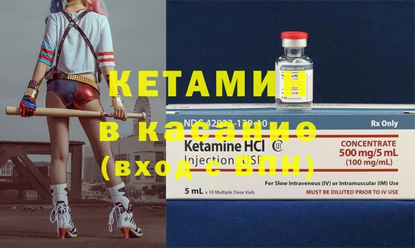 крисы Баксан