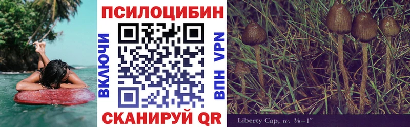 Галлюциногенные грибы MAGIC MUSHROOMS  Енисейск 